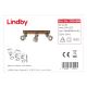 Lindby - LED Akcentinis šviestuvas MITIS 3xGU10/5W/230V