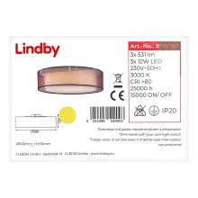 Lindby - LED Pritemdomas lubinis šviestuvas AMON 3xLED/12W/230V