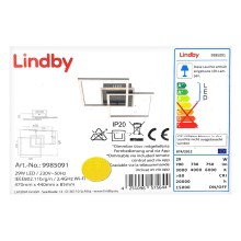 Lindby - LED Pritemdomas lubinis šviestuvas CLEAS LED/29W/230V + nuotolinio valdymo pultas
