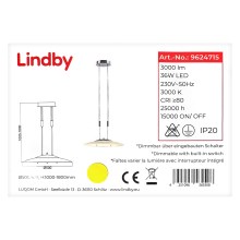 Lindby - LED Reguliuojamas pakabinamas sietynas AMIDALA LED/36W/230V