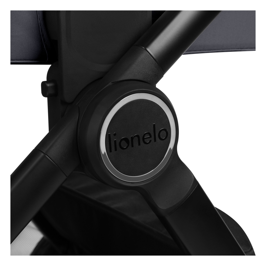 Lionelo - kombinuotas 3 in 1 vežimėlis LAYLA Grey Stone