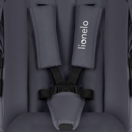 Lionelo - Kombinuotas vežimėlis 3in1 AMBER PLUS Grafito pilka