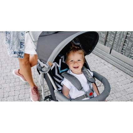 Lionelo - skėtinis vežimėlis ELIA pilkas