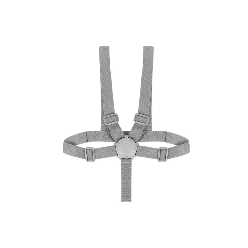 Lionelo - Vaikiška maitinimo kėdutė 2in1 DALIA balta/pilka