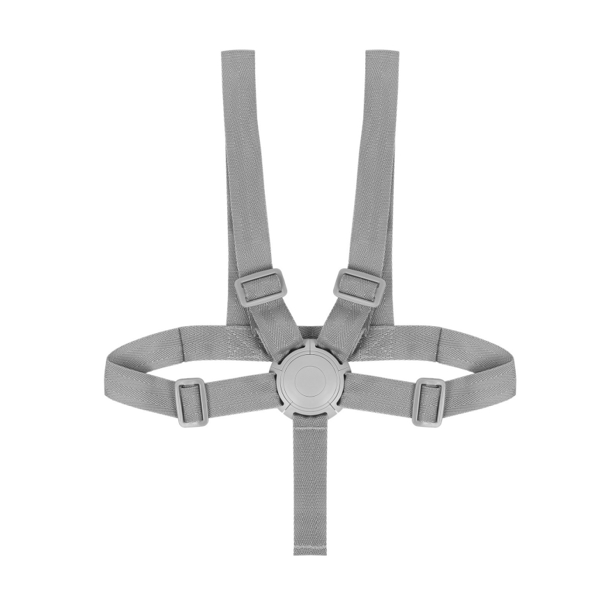 Lionelo - Vaikiška maitinimo kėdutė 4 viename DALIA SET Grey Stone Natural