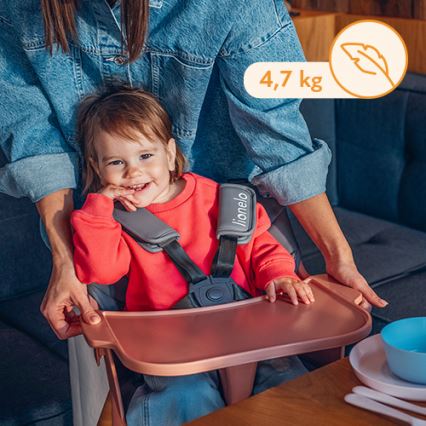 Lionelo - Vaikiška valgomojo kėdė 2in1 KOEN Pink Rose