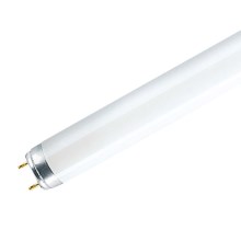 Liuminescencinė elektros lemputė (pailga) G13/18W/230V 6500K
