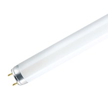 Liuminescencinė elektros lemputė (pailga) G13/58W/230V 6500K