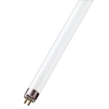 Liuminescencinė elektros lemputė (pailga) G5/8W/56V