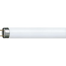 Liuminescencinė elektros lemputė (pailga) Philips G13/30W/230V