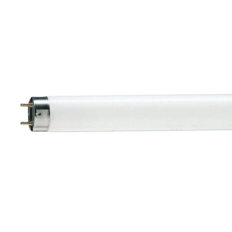 Liuminescencinė elektros lemputė (pailga) T8 G13/18W/103V 6500K