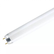 Liuminescencinė elektros lemputė (pailga) T8 G13/18W/230V 6500K 60 cm