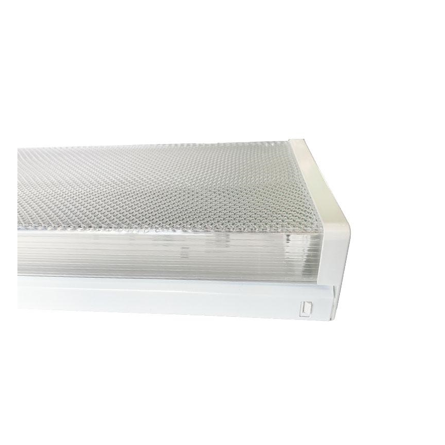 Liuminescencinis šviestuvas 2xG13/18W/230V 124 cm