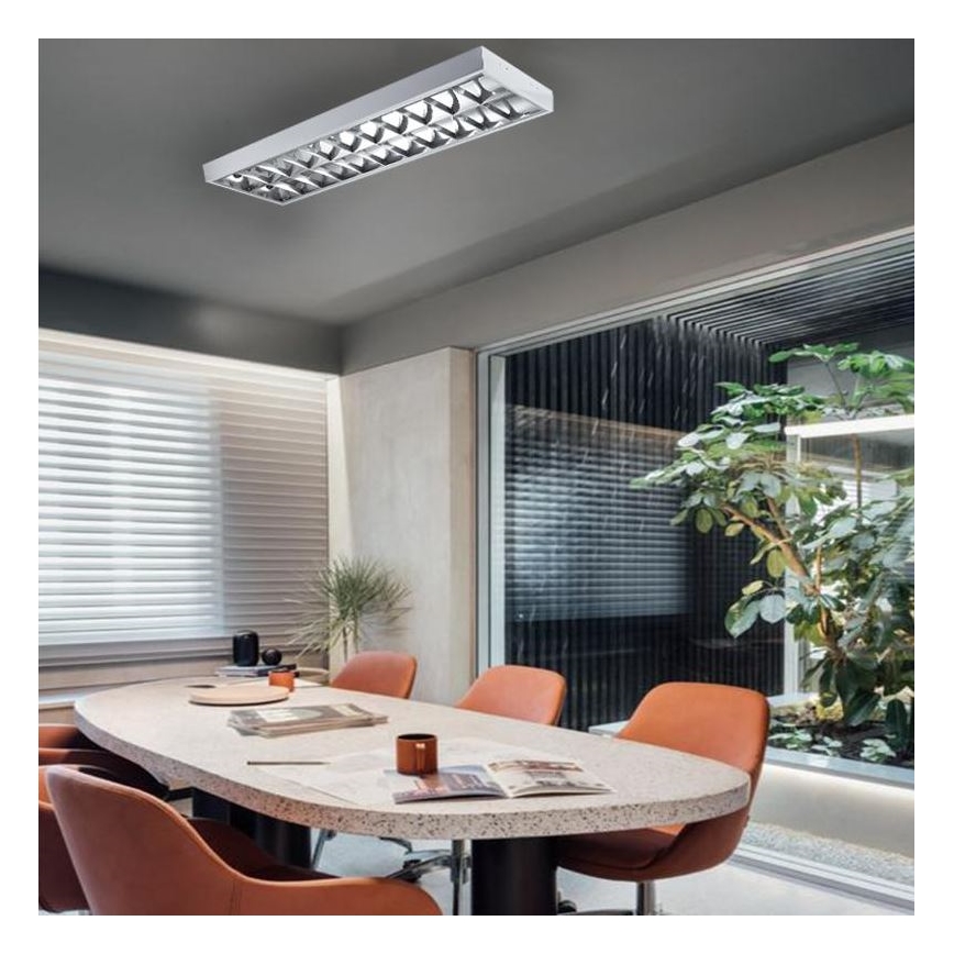 Liuminescencinis šviestuvas T8 2xG13/18W/230V 120 cm