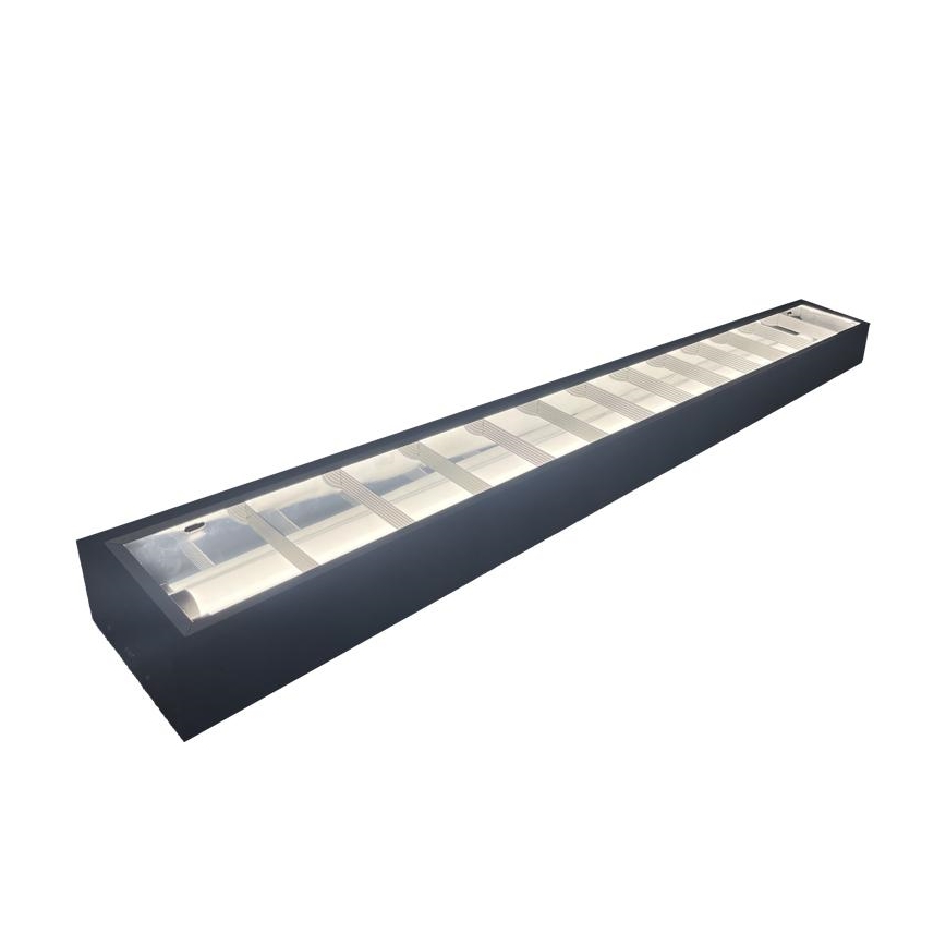 Liuminescencinis šviestuvas T8 2xG13/18W/230V 120 cm juoda