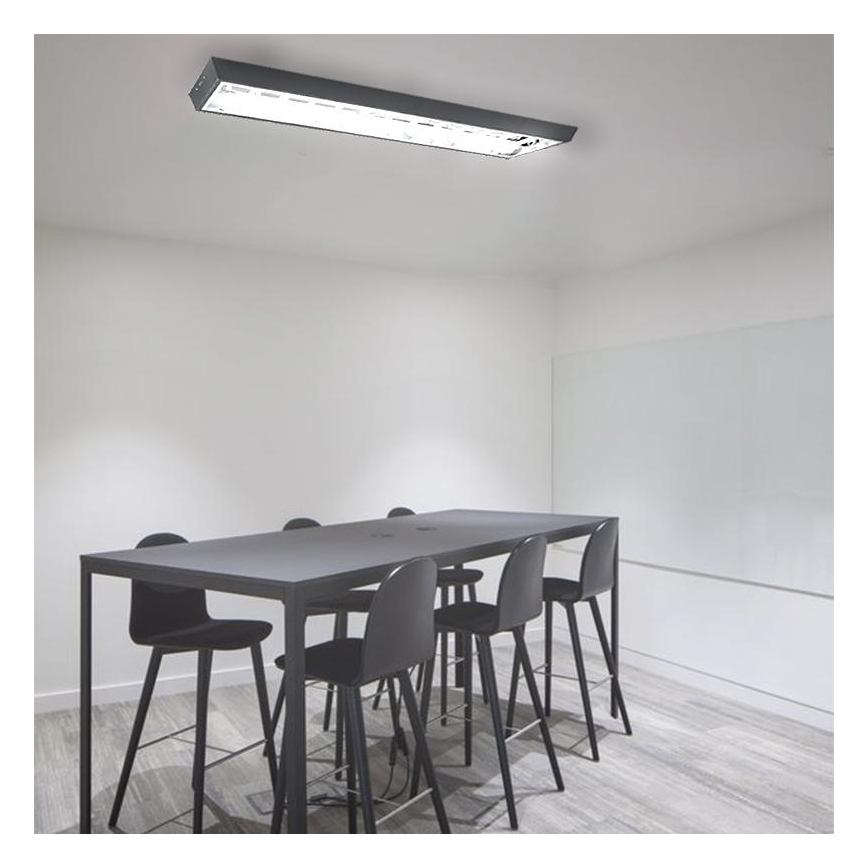 Liuminescencinis šviestuvas T8 2xG13/18W/230V 120 cm juoda