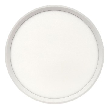 Lubinis LED šviestuvas LED/24W/230V 3000/4000/6500K, skersmuo 30 cm, baltas