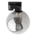 Lubinis šviestuvas 1-fazės bėgių sistemai TRACER 1xG9/8W/230V juoda/dūminis juoda