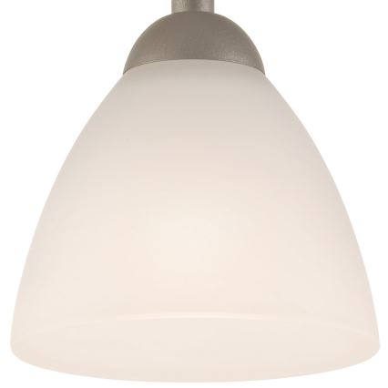 Prie lubų montuojamas šviestuvas ADRIANO 1xE27/60W/230V, ąžuolo spalvos
