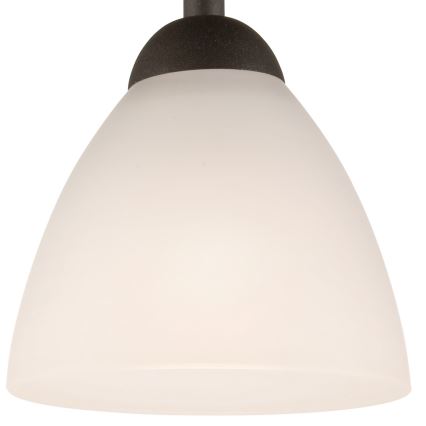 Prie lubų montuojamas šviestuvas ADRIANO 1xE27/60W/230V, ąžuolo spalvos