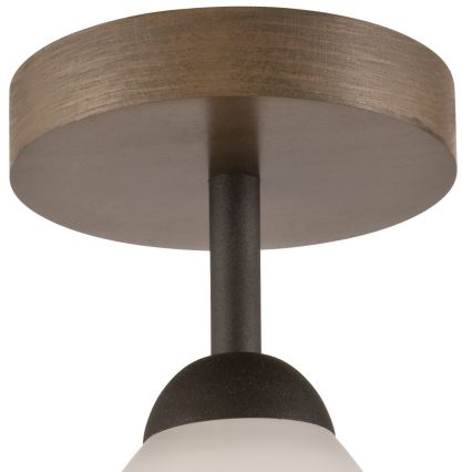 Prie lubų montuojamas šviestuvas ADRIANO 1xE27/60W/230V, ąžuolo spalvos