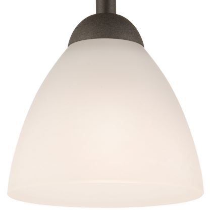 Prie lubų montuojamas šviestuvas ADRIANO 1xE27/60W/230V, ąžuolo spalvos
