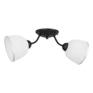 Lubinis šviestuvas AVIA 2xE27/60W/230V