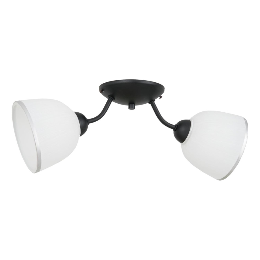 Lubinis šviestuvas AVIA 2xE27/60W/230V