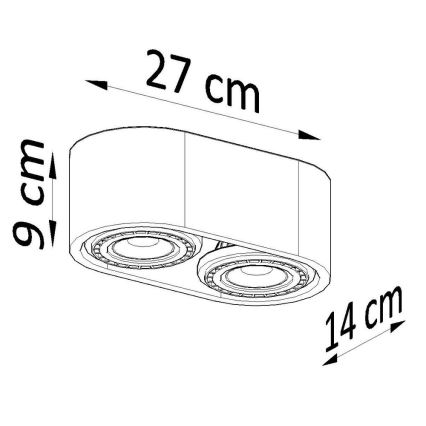 Lubinis šviestuvas BASIC AR111 2xGU10/40W/230V betonas