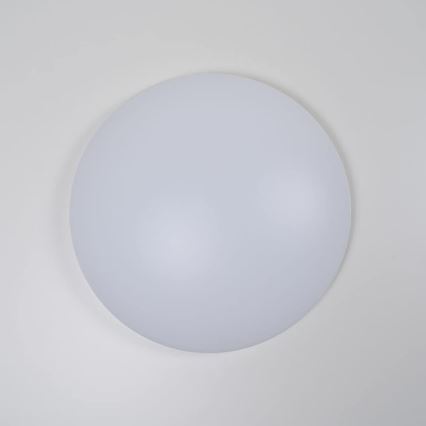 Lubinis šviestuvas DOMO 1xT5/40W/230V