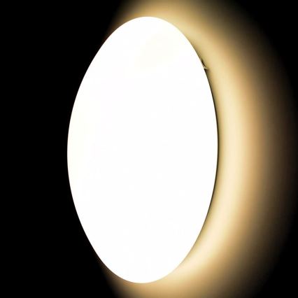 Lubinis šviestuvas DOMO 1xT5/40W/230V