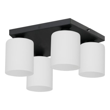 Lubinis šviestuvas FORT 4xE27/60W/230V