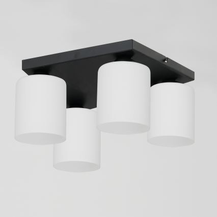 Lubinis šviestuvas FORT 4xE27/60W/230V