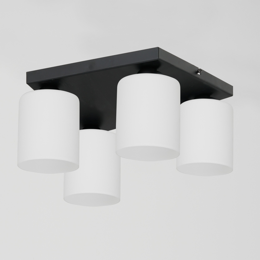 Lubinis šviestuvas FORT 4xE27/60W/230V