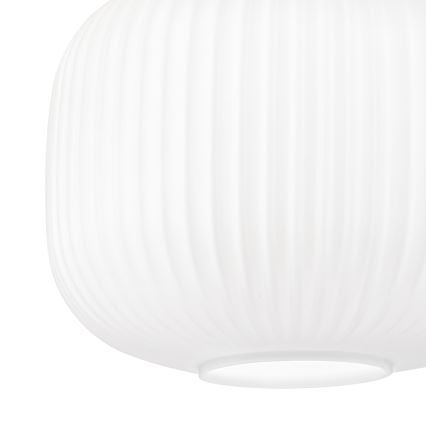 Lubinis šviestuvas HARMA WOOD 1xE27/15W/230V ąžuolas/balta skersmuo 25 cm