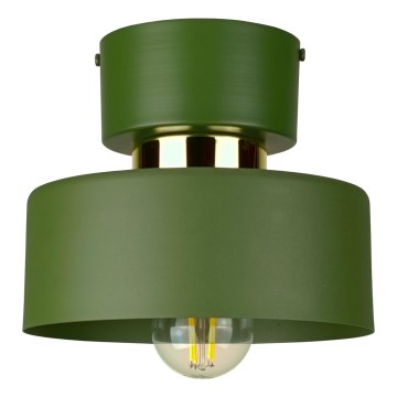 Lubinis šviestuvas IGNIA 1xE27/60W/230V žalias