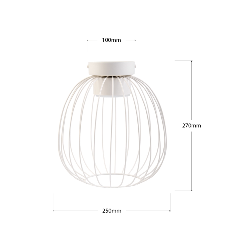 Lubinis šviestuvas OVELLA 1xGX53/10W/230V, skersmuo 25 cm, kreminės spalvos