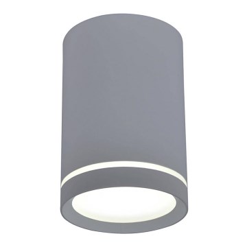 Lubinis šviestuvas TUBA GU10/15W/230V