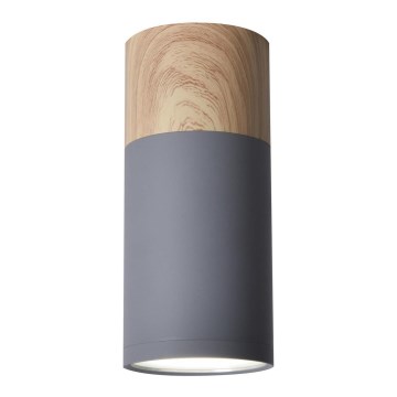 Lubinis šviestuvas TUBA GU10/15W/230V