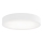 Lubinis vonios šviestuvas CLEO 4xE27/24W/230V diametras 50 cm balta IP54