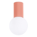 Lubinis vonios šviestuvas HALO 1xG9/8W/230V diametras 12 cm IP44 rausva