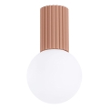 Lubinis vonios šviestuvas HALO 1xG9/8W/230V diametras 12 cm IP44 ruda