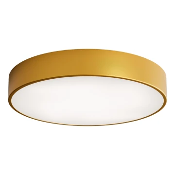 Lubų šviestuvas vonios kambariui su jutikliu CLEO, 4 x E27, 24 W, 230 V, skersmuo 50 cm, IP54, auksinis