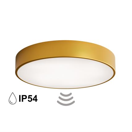 Lubų šviestuvas vonios kambariui su jutikliu CLEO, 4 x E27, 24 W, 230 V, skersmuo 50 cm, IP54, auksinis