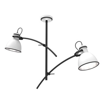 Lubų šviestuvas ZUMBA 2xE27/60W/230V baltas/juodas