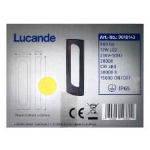 Lucande - LED Lauko lempa FENTI LED/12W/230V IP65