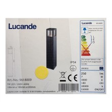 Lucande - LED Lauko lempa NICOLA LED/7W/230V IP54