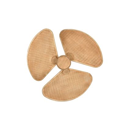Lucci Air 21325549 - LED reguliuojamas lubinis ventiliatorius SABLE 1xGX53/12W/230V 3000/4000/5000K, skersmuo 91,5 cm, rudas + nuotolinio valdymo pultas