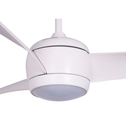 Lucci air 512911 - LED lubinis ventiliatorius AIRFUSION NORDIC LED/20W/230V medis/balta + nuotolinio valdymo pultas