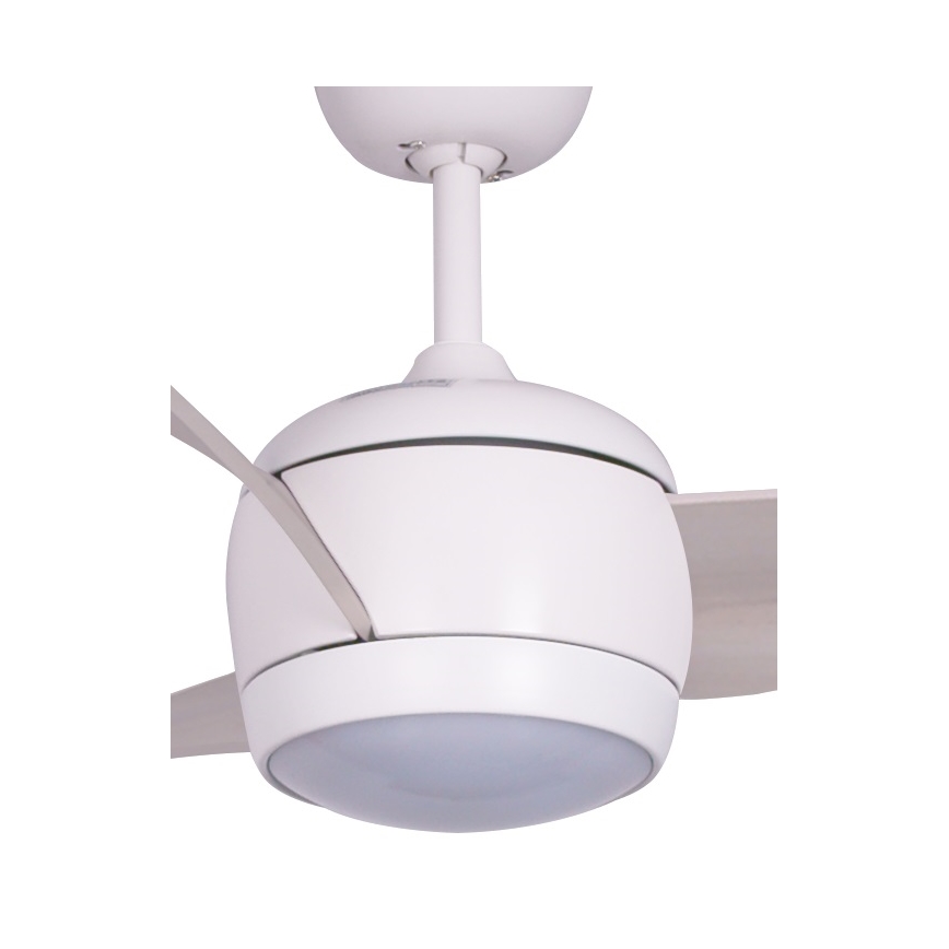 Lucci air 512911 - LED lubinis ventiliatorius AIRFUSION NORDIC LED/20W/230V medis/balta + nuotolinio valdymo pultas
